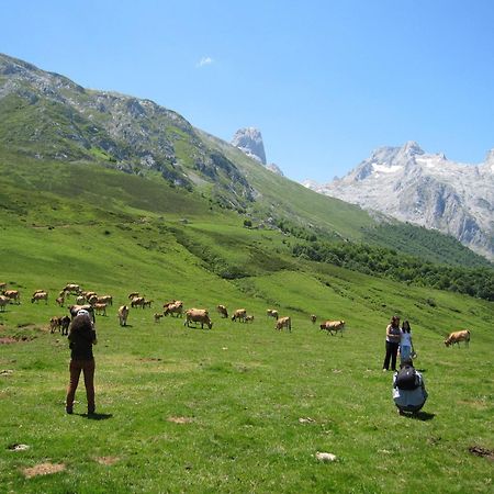 Hosteria Picos De Europa Potes Eksteriør billede