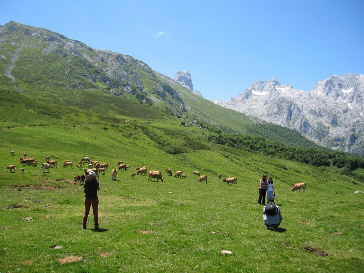 Hosteria Picos De Europa Potes Eksteriør billede