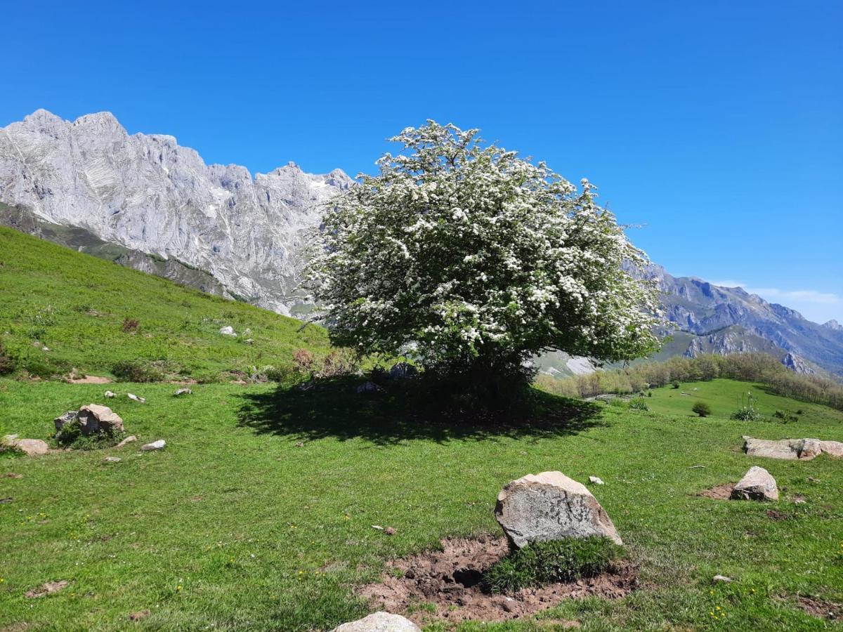 Hosteria Picos De Europa Potes Eksteriør billede